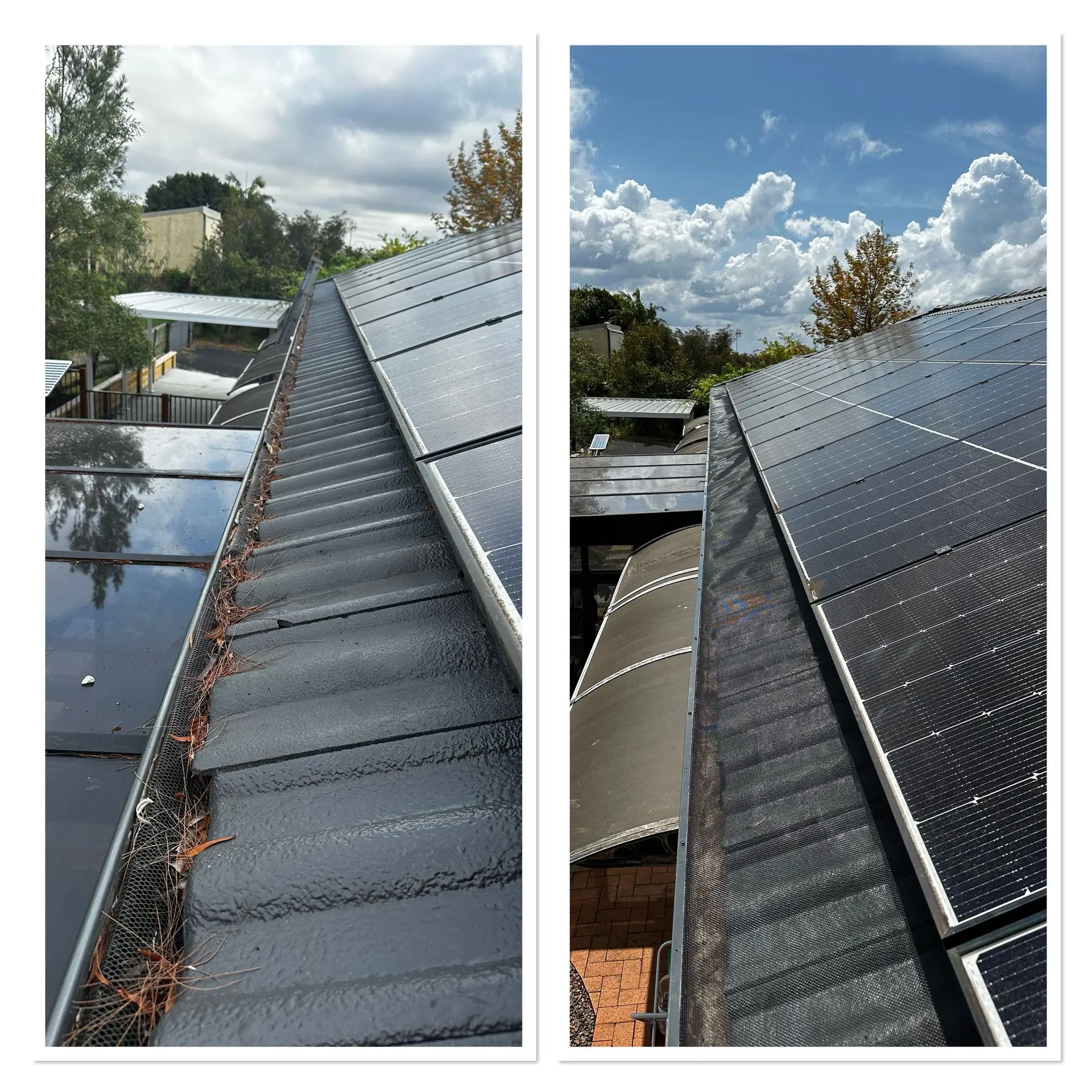 Gutter Cleaning Sydney